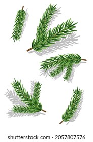 Zweige einzeln auf weißem Hintergrund. Weihnachtsvektorgrafik.