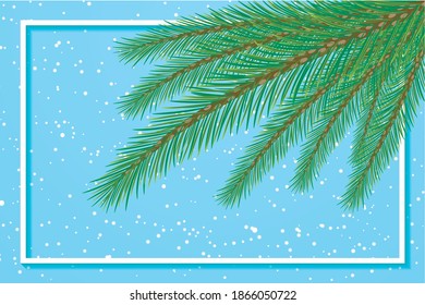 spruce branches on a blue background with snowflakes in the frame vector