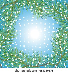 spruce branches on a red background with snow. Christmas background
