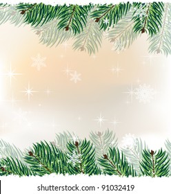 spruce branches on the sparkling snow-covered background