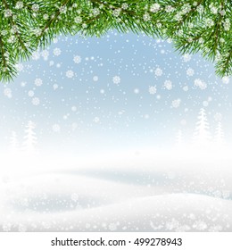 Spruce branches on winter landscape backdrop. Christmas background for a greeting card.