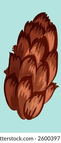 spruce brown cone vector illustration
