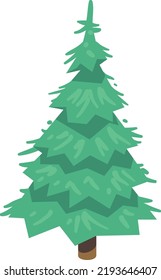 Spruce cartoon icon. Evergreen tree. Forest plant