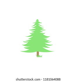 spruce colored icon. Element of colored autumn icon for mobile concept and web apps. Colored spruce icon can be used for web and mobile on white background