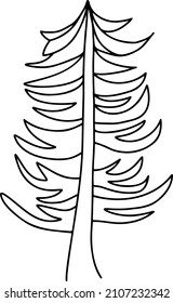 Spruce. Coloring template. Sketch, doodle, logo, clipart, black and white vector illustration, hand-drawn.