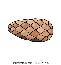 Spruce cone design element. Сoncept nature. Hand drawn vector illustration in doodle style outline drawing isolated on white background.