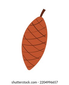 Spruce cone icon. Flat design elements. Isolated vector illustration.