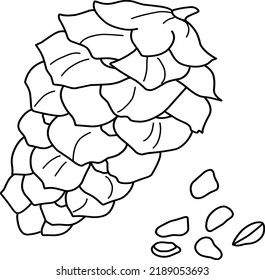 Spruce cone with nuts illustration. Hand-drawn doodles illustration.
Line art. Icon