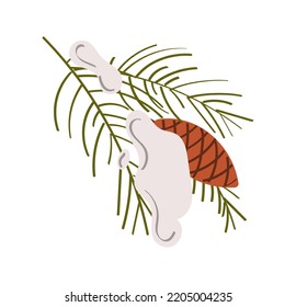 Spruce cone on the branch. Evergreen tree, vector icon, winter plants, New Year wood, holiday decoration. Hand drawn illustration
