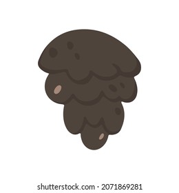 Spruce cone. Vector illustration in cartoon style. Isolated on white.