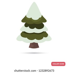 Spruce covered with snow color flat icon
