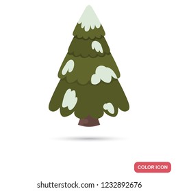 Spruce covered with snow color flat icon