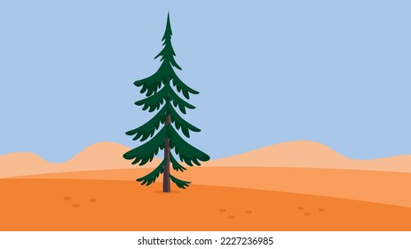 Spruce in the desert among the sand