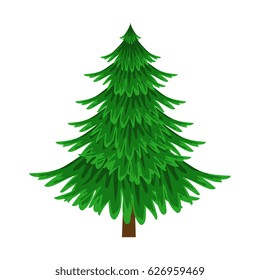 Spruce, evergreen tree, element of a landscape. Colorful cartoon vector Illustration