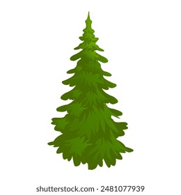 spruce, evergreen tree, vector illustration in flat style