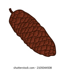 Spruce, fir cone hand drawn isolated vector illustration