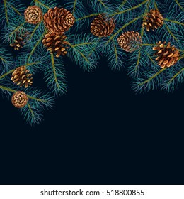 Spruce. Fir. Fir Cone. New Year decoration. Decorated  pine branches. Hand drawn. vector illustration. Design element for winter. winter holiday. Fir tree branches. Coniferous sprouts. 