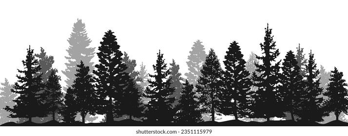 Spruce fir forests, pine tree silhouettes