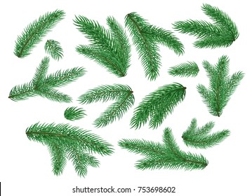 Spruce fir tree branches, twigs set. Christmas, new year winter holiday natural green symbols for your poster, invitation card, banner design. Vector isolated illustration set