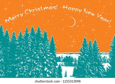 Spruce, fir trees and stars - vector graphic illustration. Bright winter landscape with silhouettes of conifer and Christmas tree.