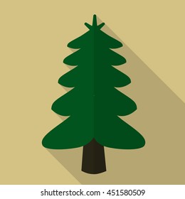 Spruce flat icon illustration isolated vector sign symbol