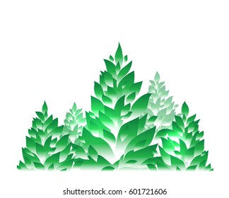Spruce forest, Christmas tree
