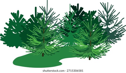Floresta de abetos isolada sobre fundo branco