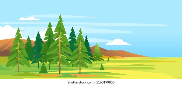 Spruce Forest Mountain Landscape Background