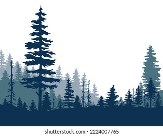 Spruce forest silhouette.Spruce wood silhouette.Spruce tree silhouette.