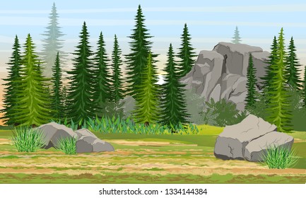 Spruce forest, stones and mountains, grass. The nature of Europe and America. Realistic summer vector landscape
