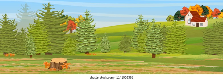 Spruce forest. Trees and mushrooms chanterelles. A small village house on a hill. Rural life. The nature of the temperate zone. Autumn deciduous trees. Vector landscape