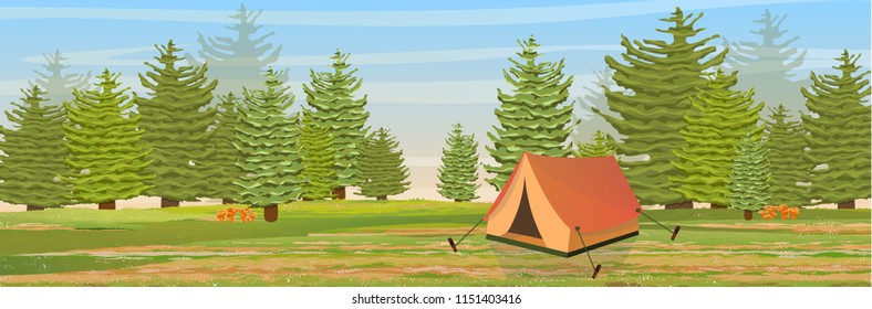 Spruce forest. Trees and mushrooms chanterelles. Vector landscape. Orange tent for tourism and recreation.