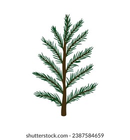 The spruce is green. Pine isolated on a white background painted in a cute style for your design