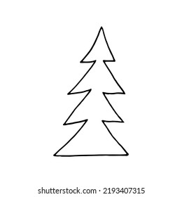 spruce hand drawn in doodle style. simple