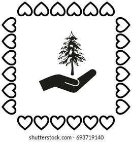 Spruce and hand vector icon