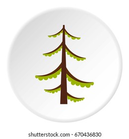 Spruce icon in flat circle isolated vector illustration for web