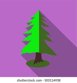 Spruce icon. Flat illustration of spruce vector icon for web