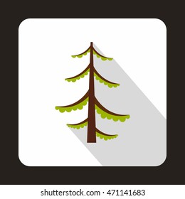 Spruce icon in flat style with long shadow. Tree symbol