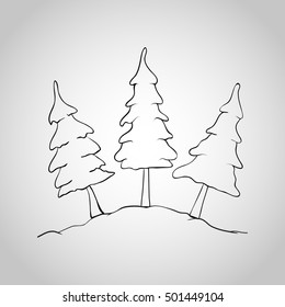 Spruce icon isolated on background