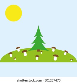 spruce mushrooms sun