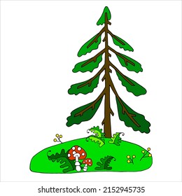 Spruce on a summer meadow hand-drawn illustration