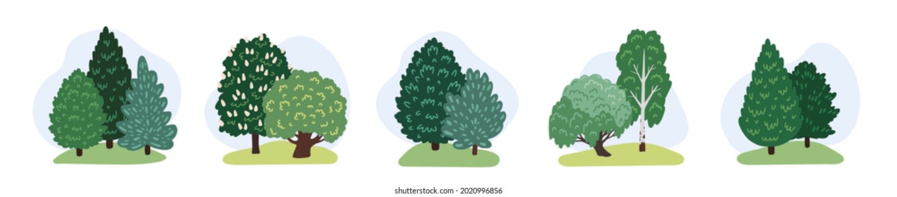 Spruce, pino, abedul, roble, castaño y otras plantas de diversos colores verdosos y caducifolios. Elementos del paisaje forestal y del parque. Conjunto de ilustraciones de vector dibujadas a mano.