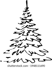spruce or pine, black and white
