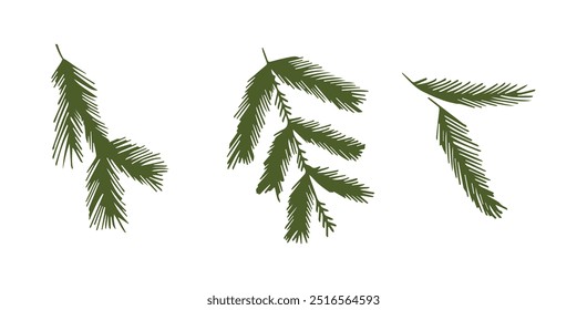 Spruce and pine branches. Coniferous plants in doodle style. Set of New Year's decorations. Illustration in flat style. Symbol of New Year and Christmas. EPS10
