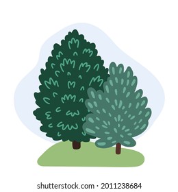 Spruce and pine, fir. Group of coniferous evergreen trees. Forest and park green plants. Elements of the landscape. Hand-drawn vector illustration.