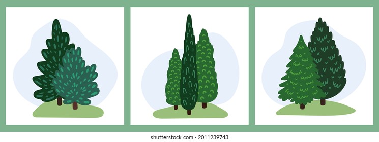 Spruce and pine, fir. Group of coniferous evergreen trees. Collection of forest and park plants. Set of hand-drawn design elements for landscape. Cartoon vector illustrations.