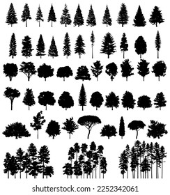 Spruce and Pine tree silhouette collection