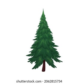 Spruce or pine tree vector illustration.