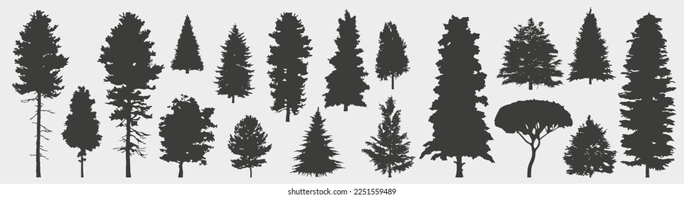 Spruce And Pines tree silhouette collection