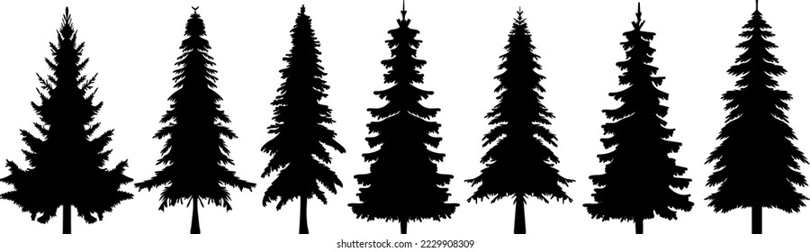 spruce silhouette, fir tree set design vector isolated